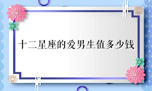 十二星座的爱男生值多少钱