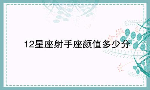 12星座射手座颜值多少分