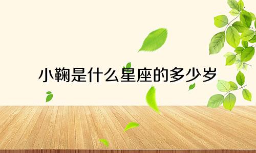 小鞠是什么星座的多少岁