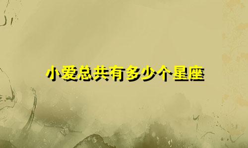 小爱总共有多少个星座