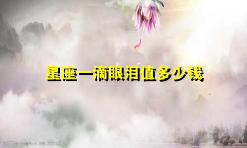 星座一滴眼泪值多少钱