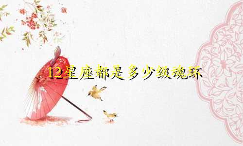 12星座都是多少级魂环