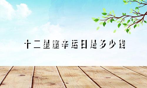 十二星座辛运日是多少钱