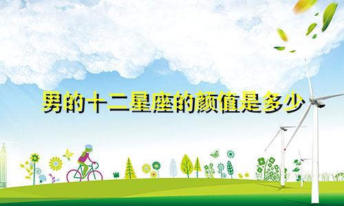 男的十二星座的颜值是多少