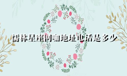 儒林星座网咖地址电话是多少