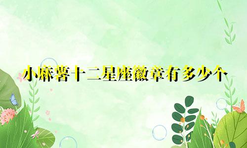 小麻薯十二星座徽章有多少个