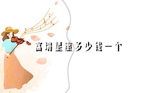 富瑞星座多少钱一个