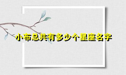 小布总共有多少个星座名字