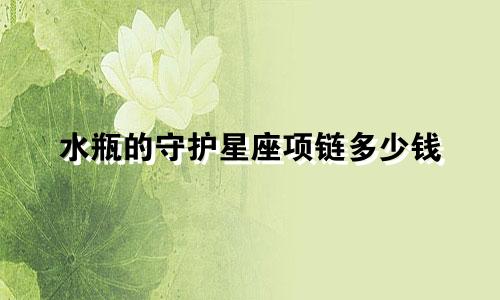 水瓶的守护星座项链多少钱