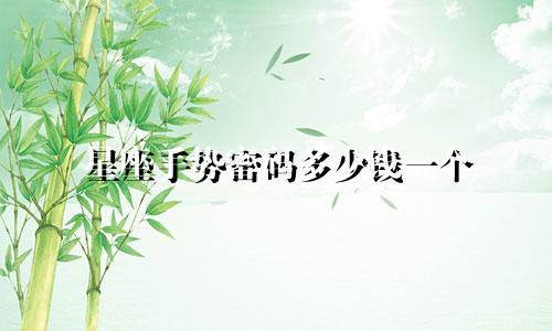 星座手势密码多少钱一个