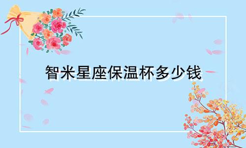 智米星座保温杯多少钱