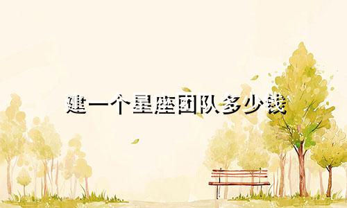 建一个星座团队多少钱