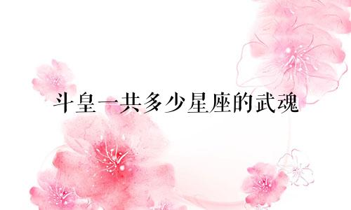 斗皇一共多少星座的武魂