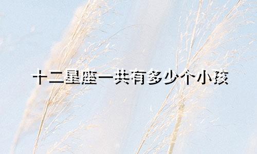 十二星座一共有多少个小孩