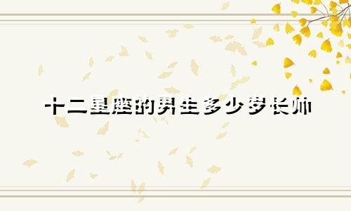 十二星座的男生多少岁长帅