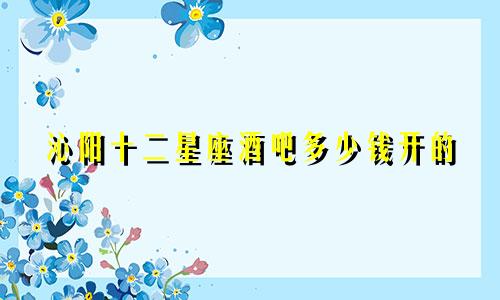 沁阳十二星座酒吧多少钱开的