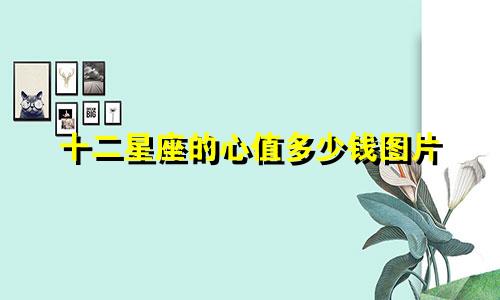 十二星座的心值多少钱图片