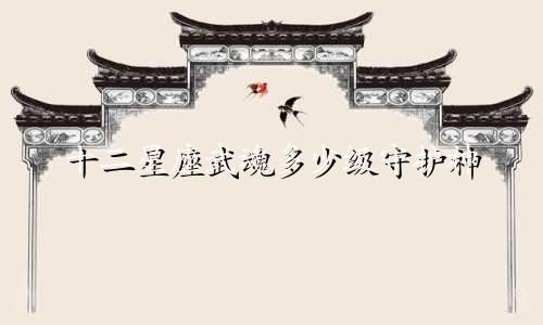 十二星座武魂多少级守护神