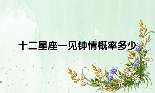 十二星座一见钟情概率多少