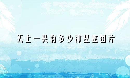 天上一共有多少种星座图片