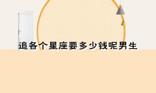 追各个星座要多少钱呢男生