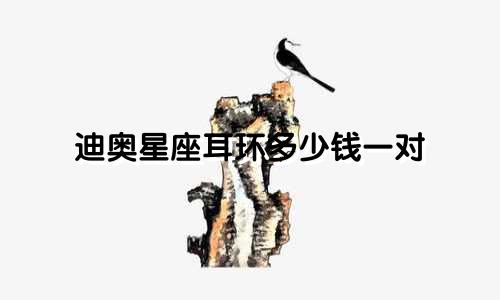 迪奥星座耳环多少钱一对
