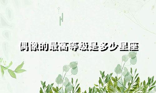 偶像的最高等级是多少星座
