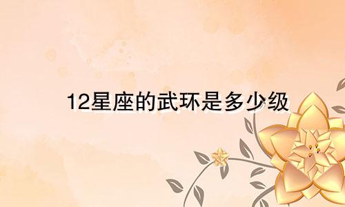12星座的武环是多少级