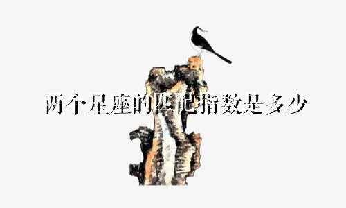 两个星座的匹配指数是多少