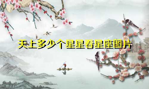天上多少个星星看星座图片