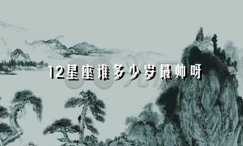 12星座谁多少岁最帅呀