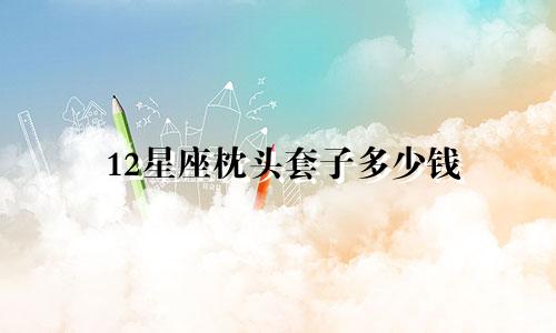 12星座枕头套子多少钱