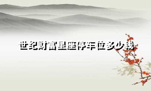 世纪财富星座停车位多少钱