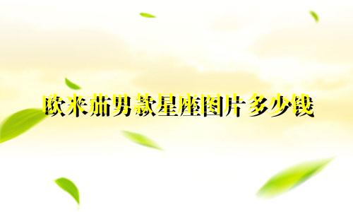 欧米茄男款星座图片多少钱
