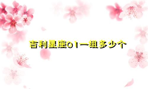 吉利星座01一组多少个