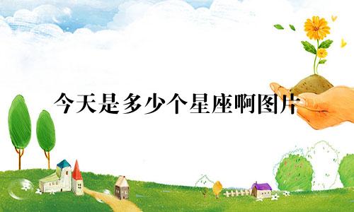今天是多少个星座啊图片