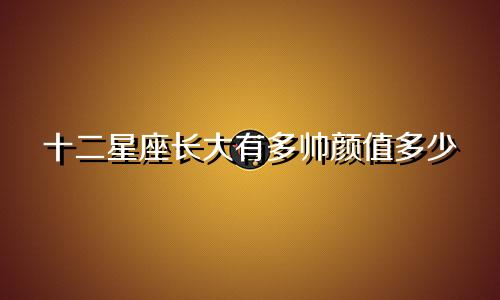 十二星座长大有多帅颜值多少