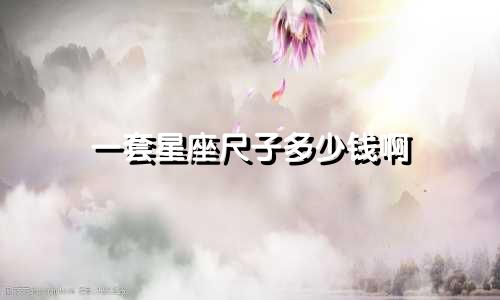 一套星座尺子多少钱啊