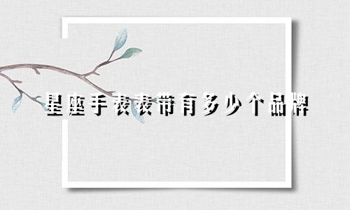 星座手表表带有多少个品牌