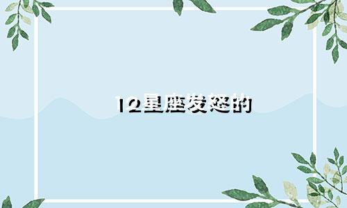 12星座发怒的 战斗力有多少