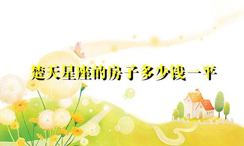 楚天星座的房子多少钱一平
