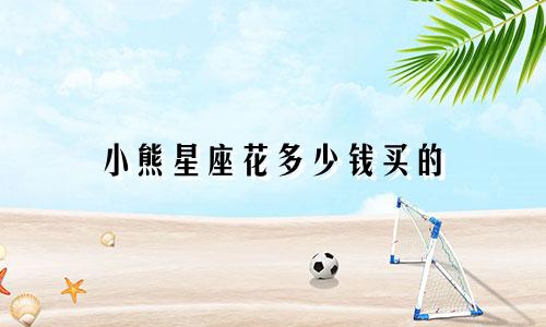 小熊星座花多少钱买的