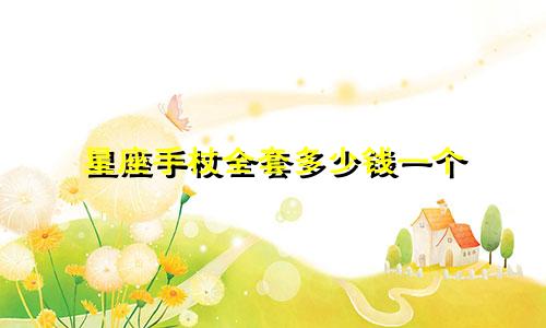 星座手杖全套多少钱一个