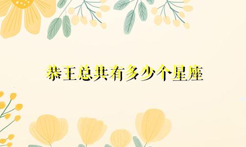 恭王总共有多少个星座