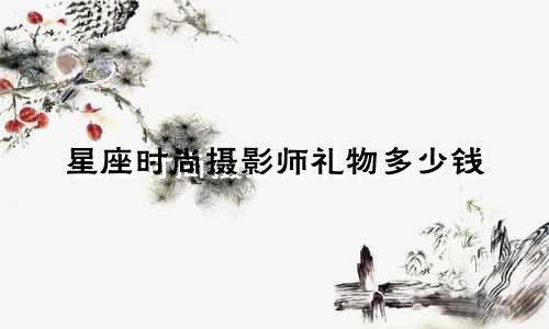 星座时尚摄影师礼物多少钱
