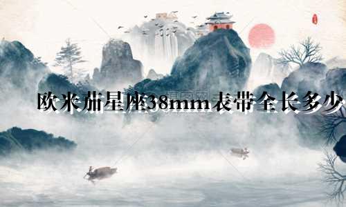 欧米茄星座38mm表带全长多少