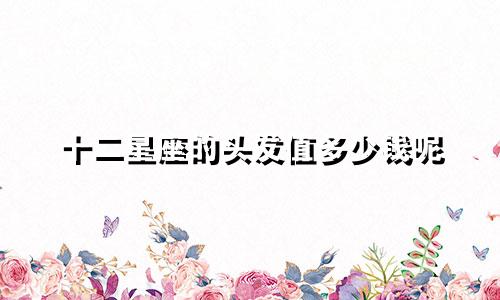 十二星座的头发值多少钱呢