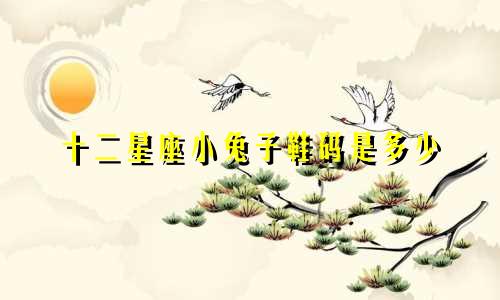 十二星座小兔子鞋码是多少