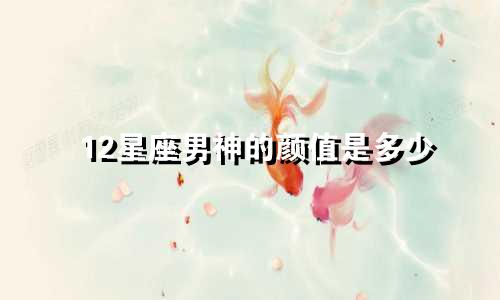 12星座男神的颜值是多少