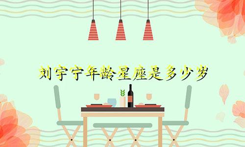 刘宇宁年龄星座是多少岁